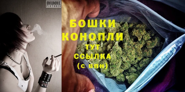 спайс Сясьстрой