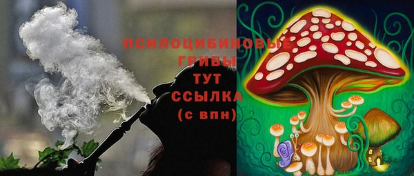 крисы Богородск