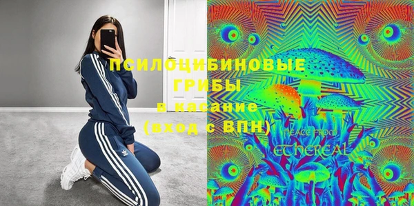 ГАЛЛЮЦИНОГЕННЫЕ ГРИБЫ Богородицк