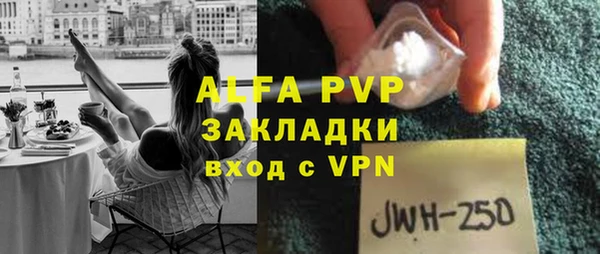 эйфоретик Богданович