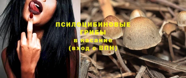ГАЛЛЮЦИНОГЕННЫЕ ГРИБЫ Богородицк