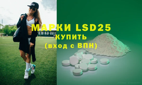 индика Тайга